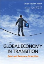 Global Economy In Transition, The: Debt And Resource Scarcities