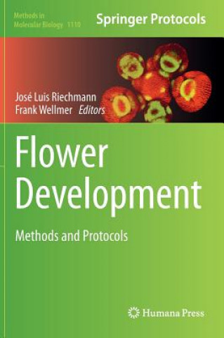 Flower Development