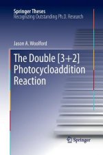 Double [3+2] Photocycloaddition Reaction