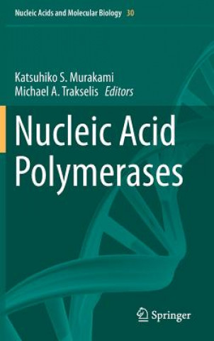 Nucleic Acid Polymerases