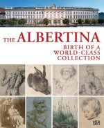 Origins of the Albertina