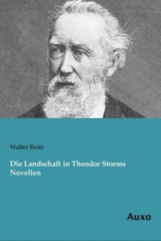 Die Landschaft in Theodor Storms Novellen