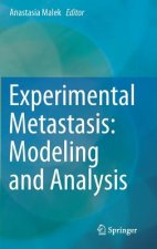 Experimental Metastasis: Modeling and Analysis
