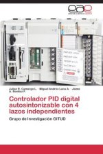 Controlador PID digital autosintonizable con 4 lazos independientes