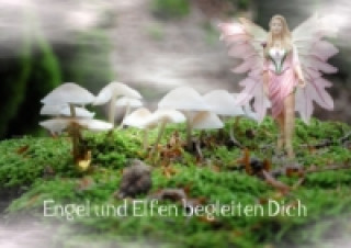 Engel und Elfen begleiten Dich (Posterbuch DIN A3 quer)