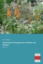 Systematische Phylogenie der Protisten und Pflanzen. Tl.1