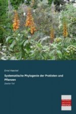 Systematische Phylogenie der Protisten und Pflanzen. Tl.2