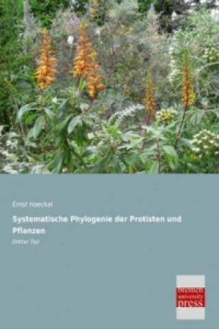 Systematische Phylogenie der Protisten und Pflanzen. Tl.3