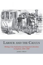 Labour and the Caucus