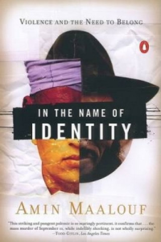 In the Name of Identity. Mörderische Identitäten, englische Ausgabe