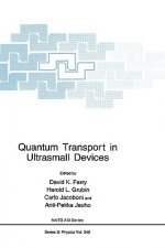 Quantum Transport in Ultrasmall Devices