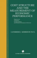 Cost Structure and the Measurement of Economic Performance