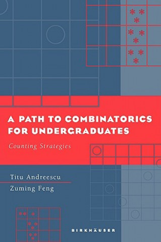 Path to Combinatorics for Undergraduates