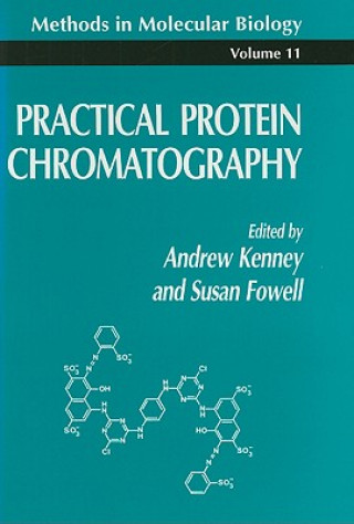 Practical Protein Chromatography