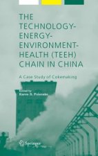 Technology-Energy-Environment-Health (TEEH) Chain In China