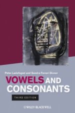 Vowels and Consonants 3e