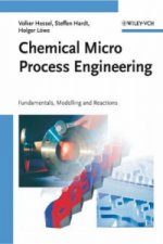 Chemical Micro Process Engineering 2V Set