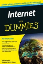 Internet fur Dummies 13e