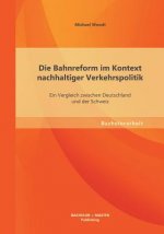 Bahnreform im Kontext nachhaltiger Verkehrspolitik