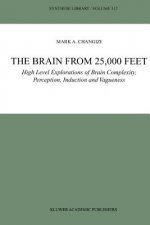 Brain from 25,000 Feet