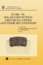 SCORe '96: Solar Convection and Oscillations and their Relationship