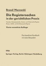 Die Registersachen in Der Gerichtlichen Praxis