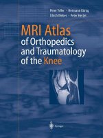 MRI Atlas of Orthopedics and Traumatology of the Knee