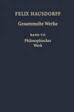 Felix Hausdorff - Gesammelte Werke Band VII