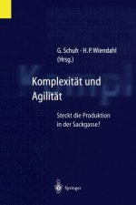 Komplexit t Und Agilit t