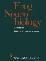 Frog Neurobiology