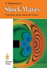 Shock Waves