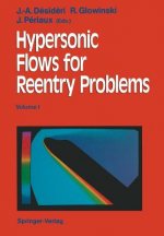 Hypersonic Flows for Reentry Problems
