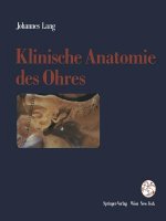 Klinische Anatomie Des Ohres