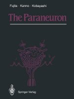 Paraneuron