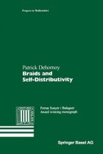 Braids and Self-Distributivity