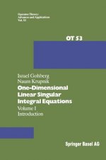 One-Dimensional Linear Singular Integral Equations