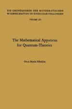Mathematical Apparatus for Quantum-Theories