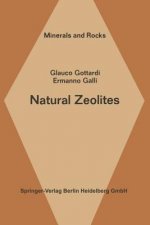 Natural Zeolites