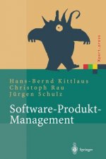 Software-Produkt-Management, 1