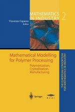 Mathematical Modelling for Polymer Processing