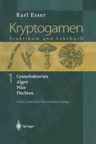 Kryptogamen 1