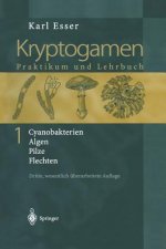 Kryptogamen 1