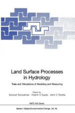 Land Surface Processes in Hydrology