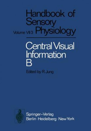 Visual Centers in the Brain