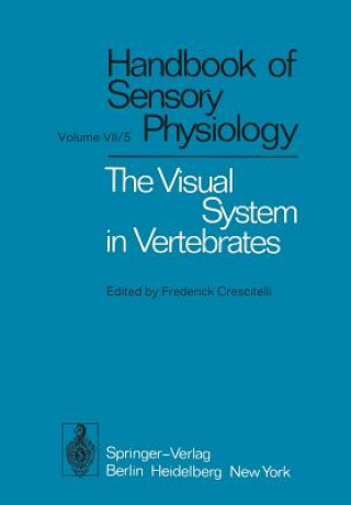 Visual System in Vertebrates