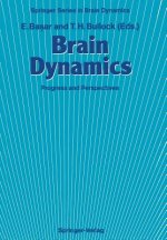 Brain Dynamics