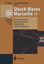 Shock Waves @ Marseille IV