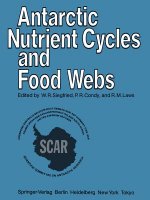 Antarctic Nutrient Cycles and Food Webs