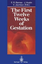 First Twelve Weeks of Gestation
