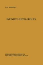 Infinite Linear Groups, 1
